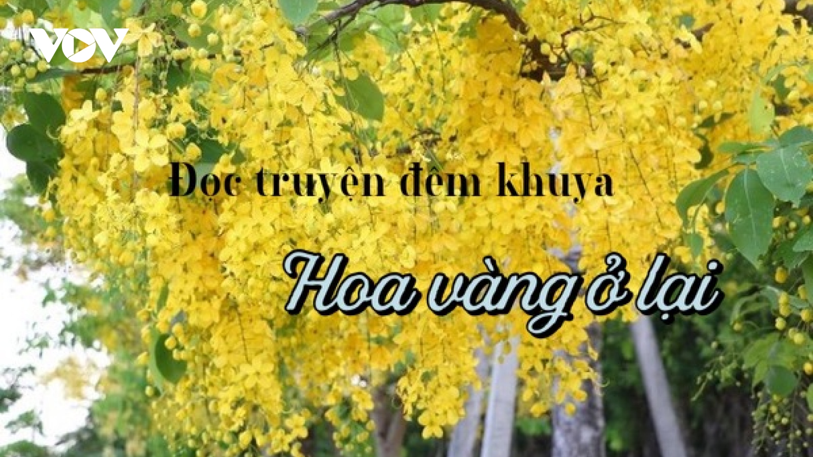 Truyện ngắn "Hoa vàng ở lại"